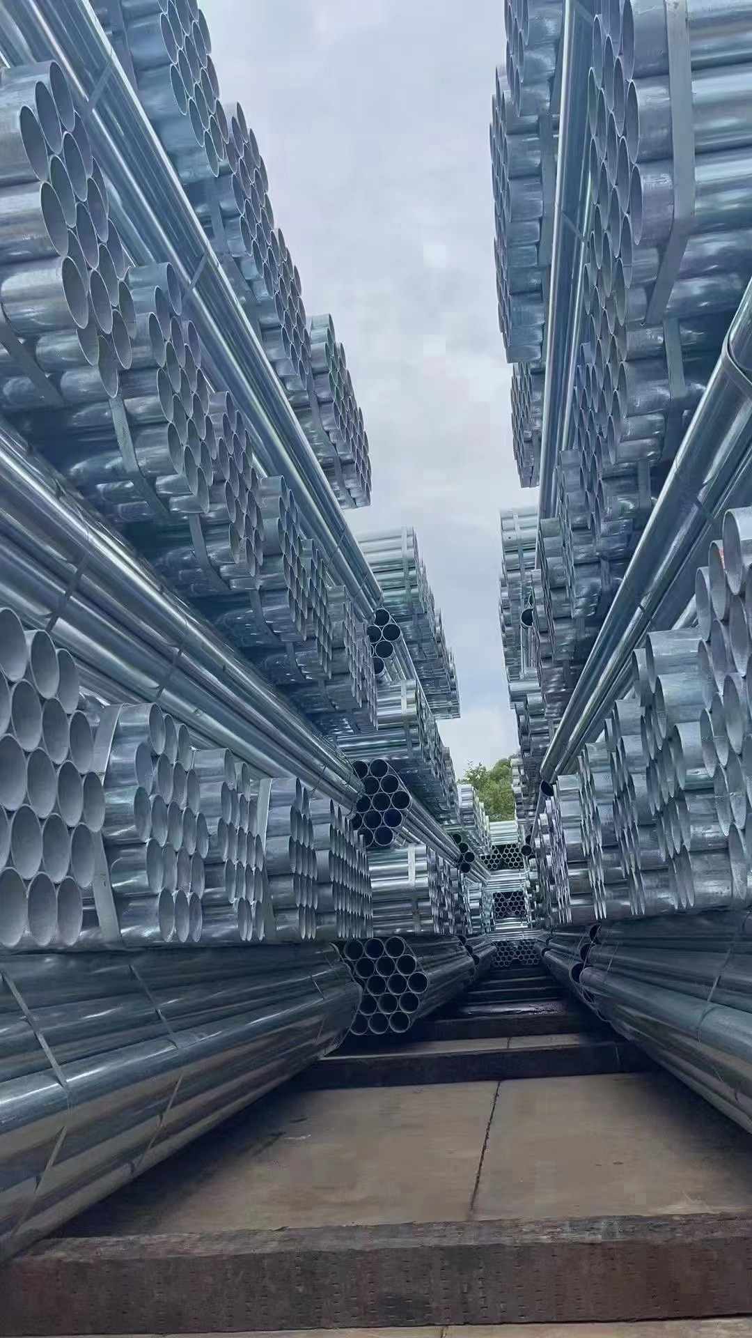 新聞動(dòng)態(tài)